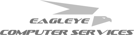 EaglEye Logo